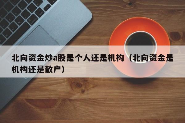 北向资金炒a股是个人还是机构（北向资金是机构还是散户）