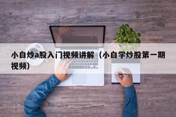 小白炒a股入门视频讲解（小白学炒股第一期视频）