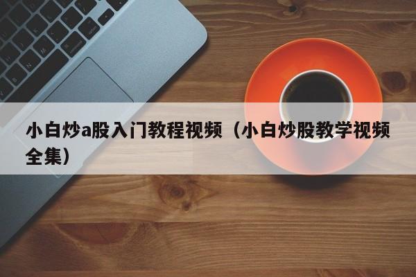小白炒a股入门教程视频（小白炒股教学视频全集）