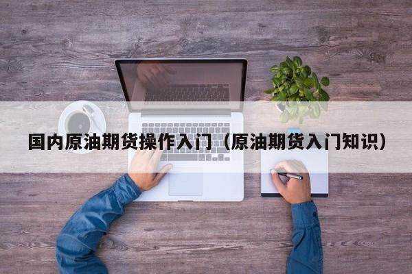 国内原油期货操作入门（原油期货入门知识）