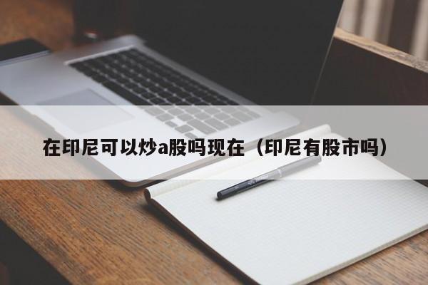 在印尼可以炒a股吗现在（印尼有股市吗）