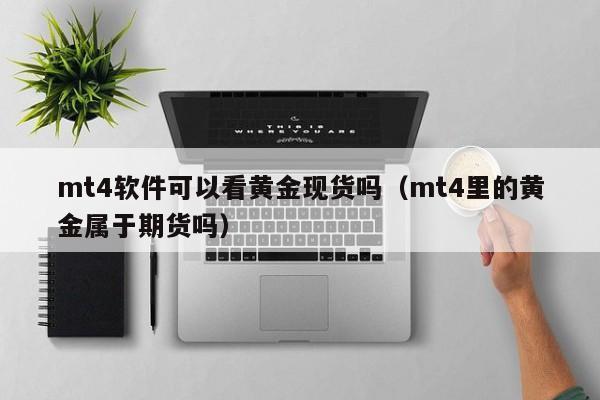 mt4软件可以看黄金现货吗（mt4里的黄金属于期货吗）