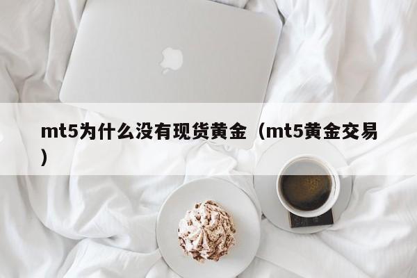 mt5为什么没有现货黄金（mt5黄金交易）