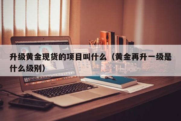升级黄金现货的项目叫什么（黄金再升一级是什么级别）