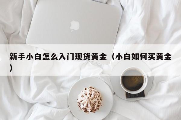新手小白怎么入门现货黄金（小白如何买黄金）