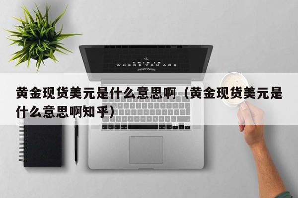 黄金现货美元是什么意思啊（黄金现货美元是什么意思啊知乎）