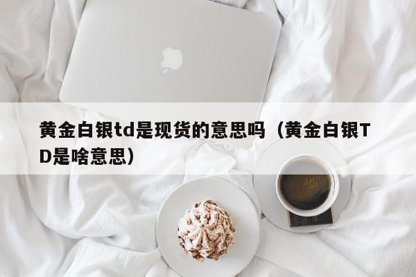 黄金白银td是现货的意思吗（黄金白银T D是啥意思）